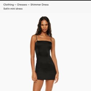 Aritzia Shimmer Dress!